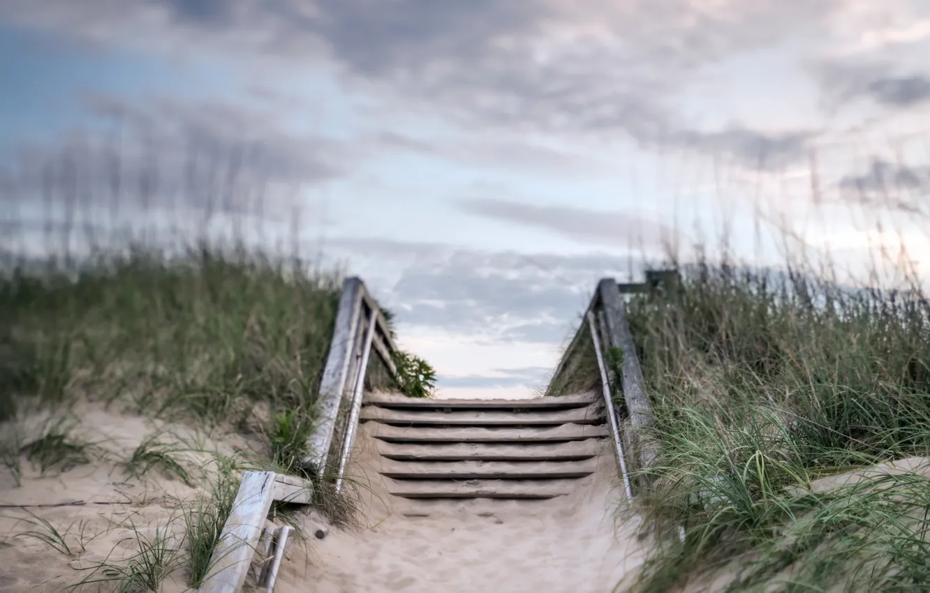 Photo wallpaper beach, summer, dunes