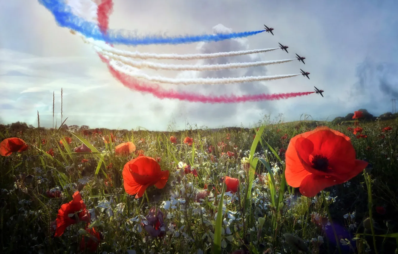 Photo wallpaper nature, Maki, the plane