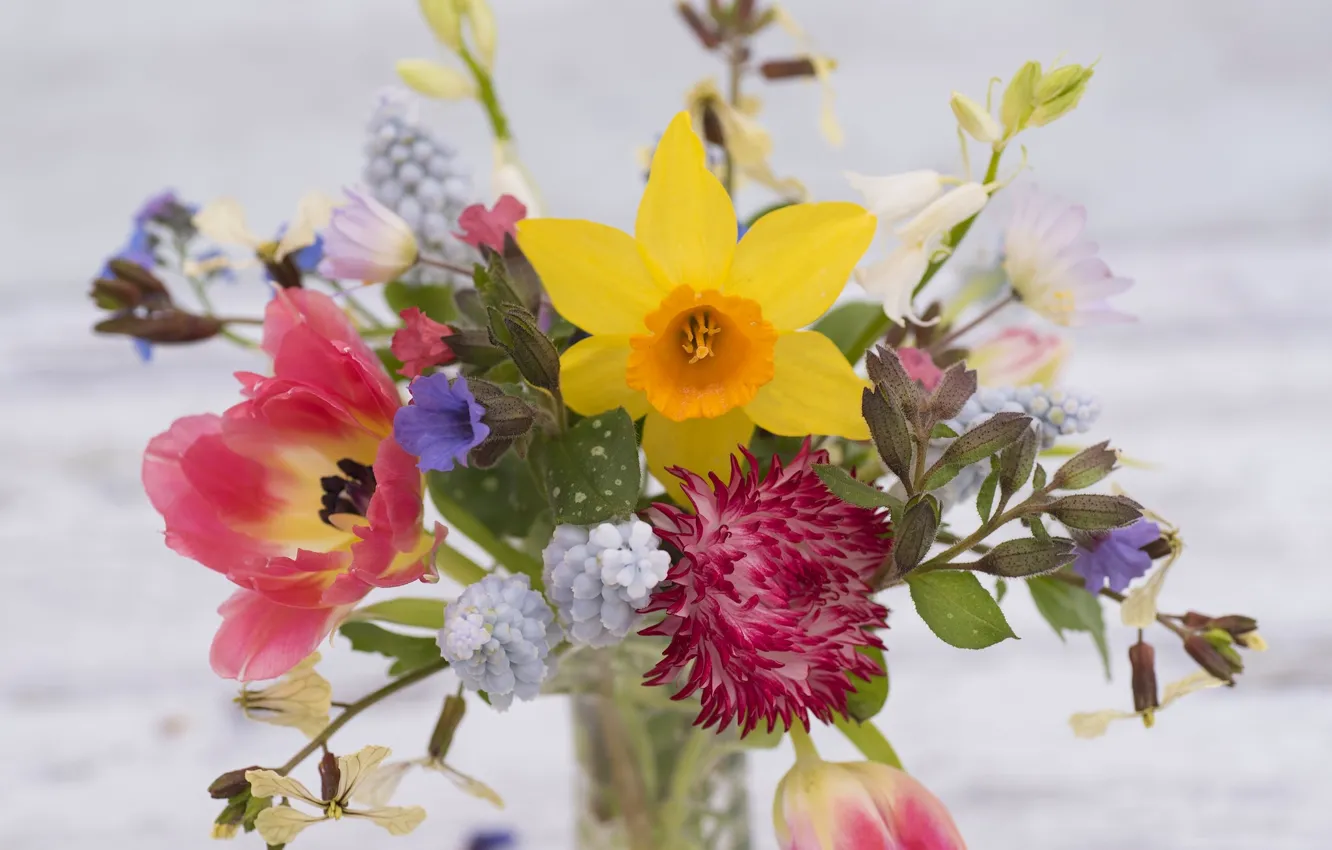 Photo wallpaper bouquet, tulips, daffodils, Muscari, asters, anemone, night violet, spring bouquet
