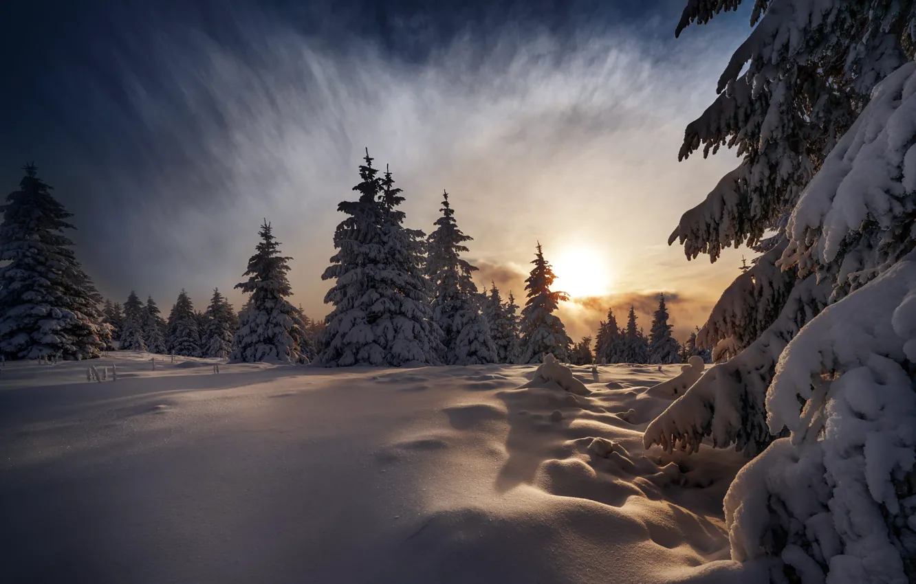 Photo wallpaper winter, field, forest, the sky, the sun, clouds, light, snow