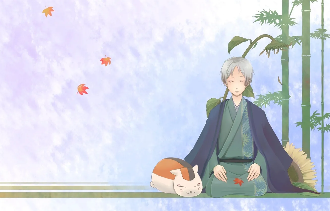 Photo wallpaper cat, leaves, sunflowers, figure, bamboo, guy, natsume yuujinchou, Madara