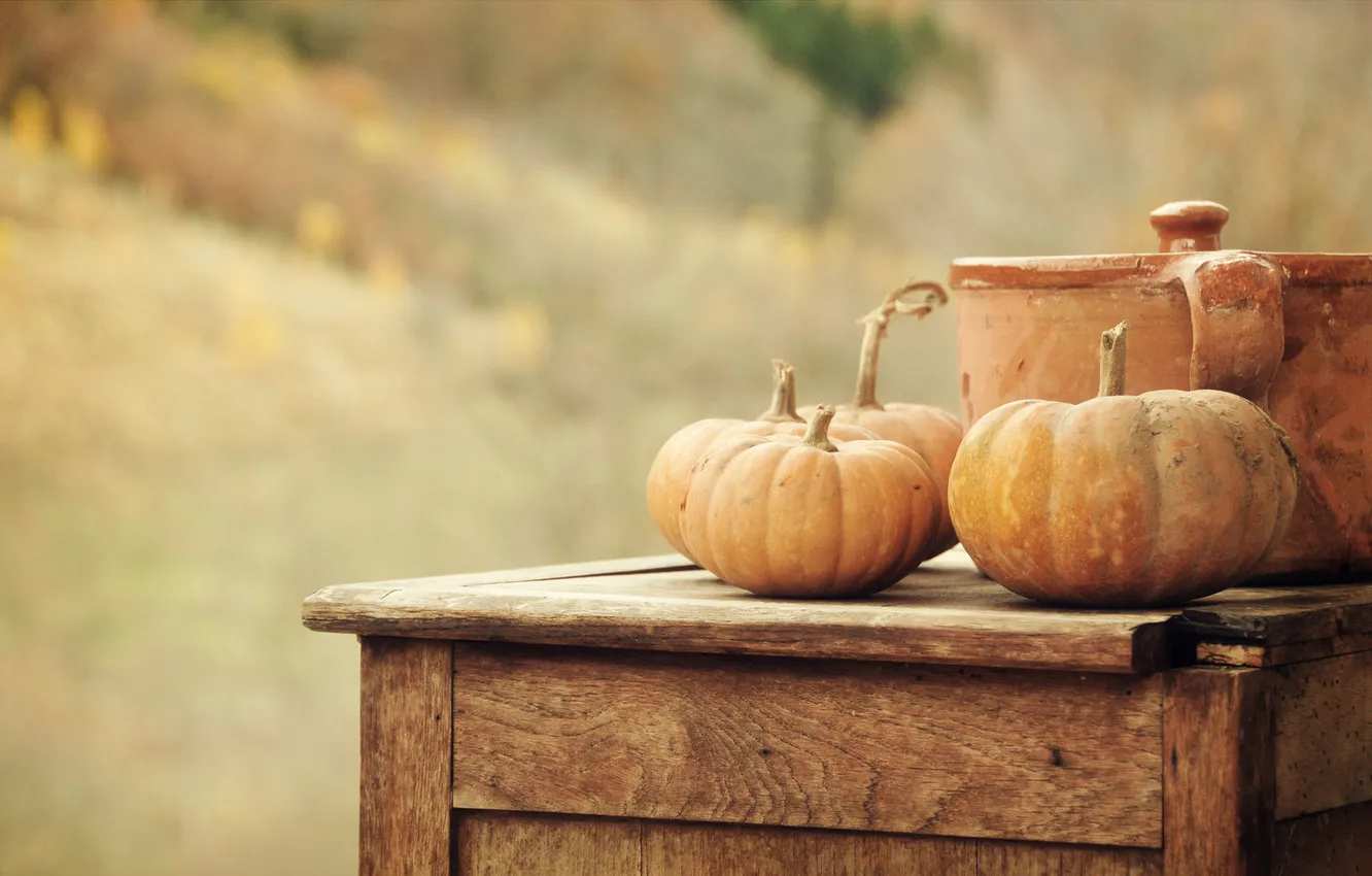 Photo wallpaper nature, harvest, pumpkin, pan, vegetables
