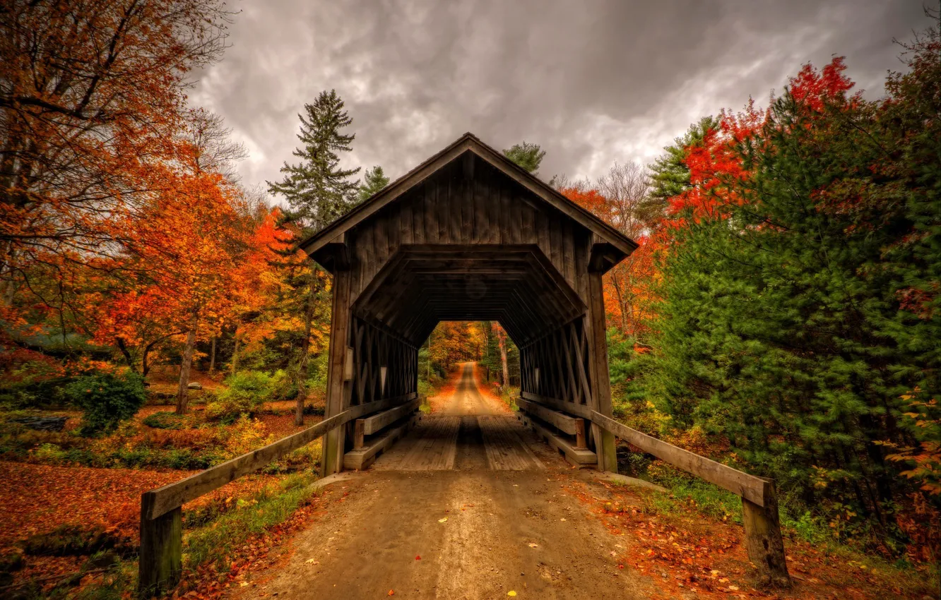 Photo wallpaper autumn, forest, leaves, trees, bridge, nature, Park, view