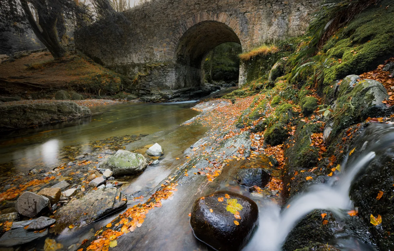 Photo wallpaper autumn, bridge, stones, arch, pond
