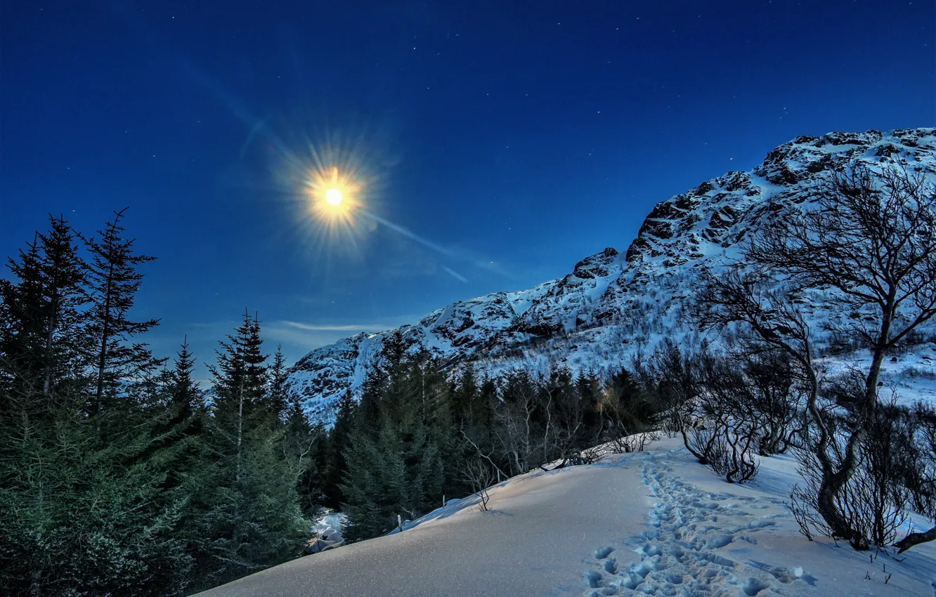 Photo wallpaper winter, the sky, the sun, snow, trees, mountains, slope, Norway