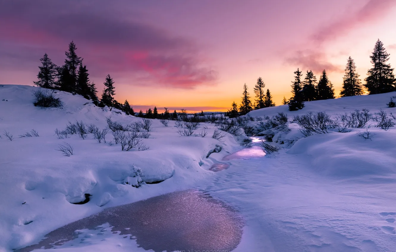 Photo wallpaper winter, light, snow, trees, nature, paint, the evening, river