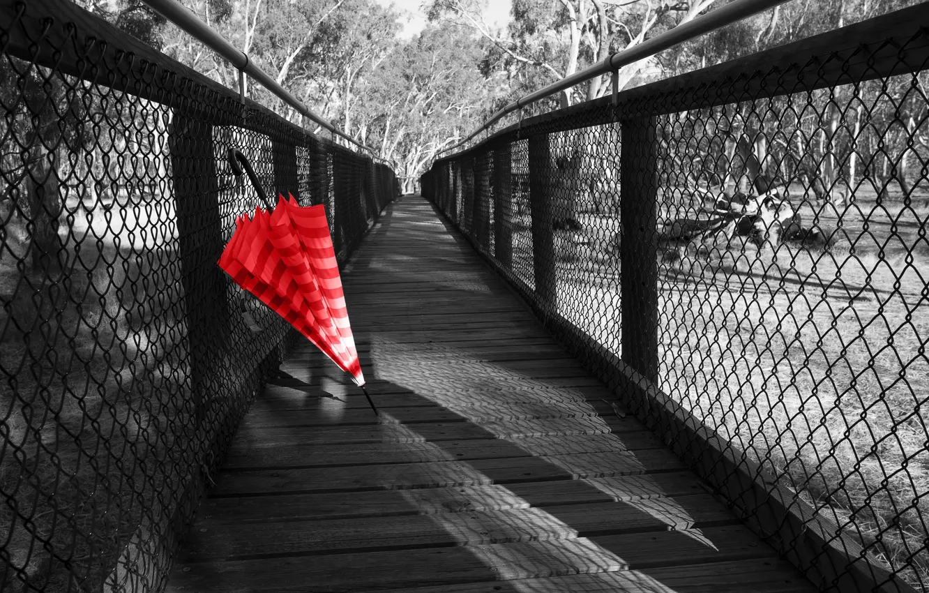 Photo wallpaper bridge, background, umbrella