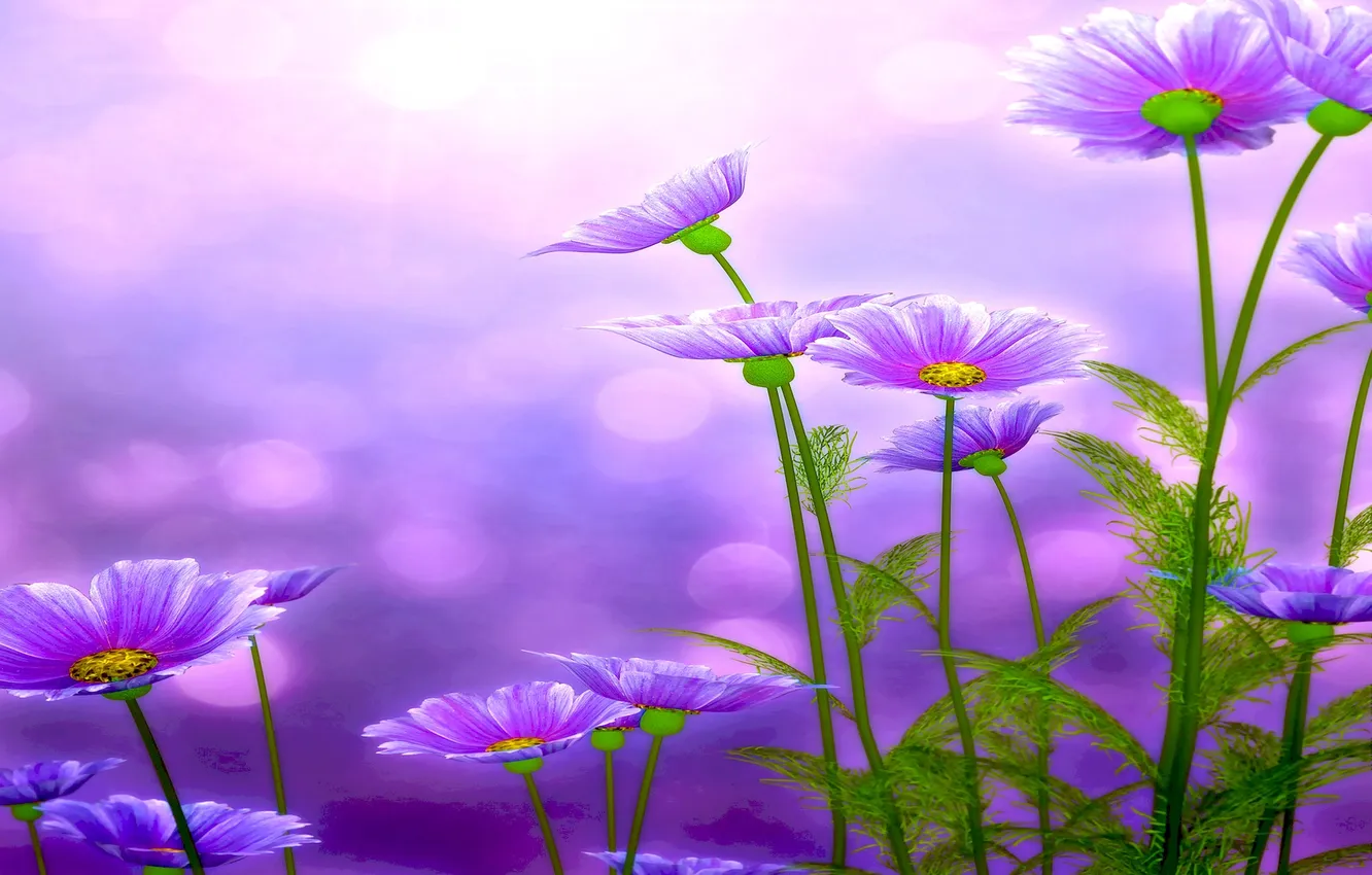 Photo wallpaper field, leaves, petals, garden, stem, meadow