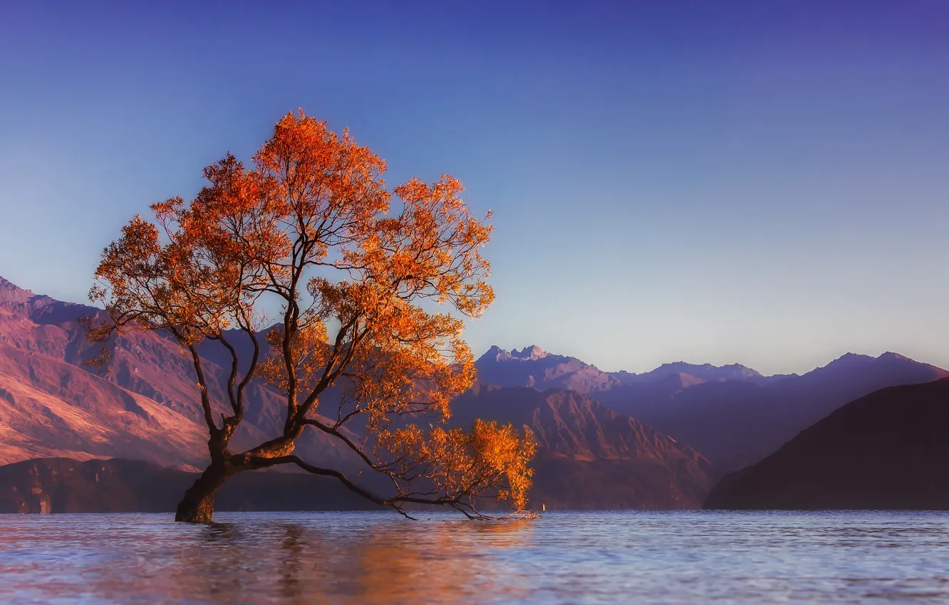 Photo wallpaper water, trees, landscape, mountains