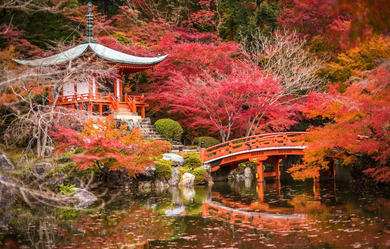 Photo wallpaper autumn, trees, pond, Park, stones, Japan, pagoda, the bridge