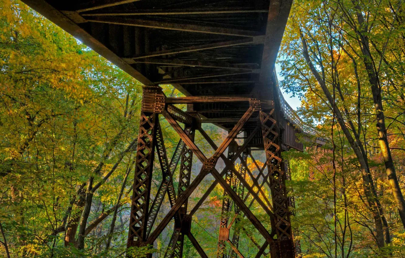 Photo wallpaper autumn, forest, leaves, trees, bridge, USA, the state of new York, Rosendal