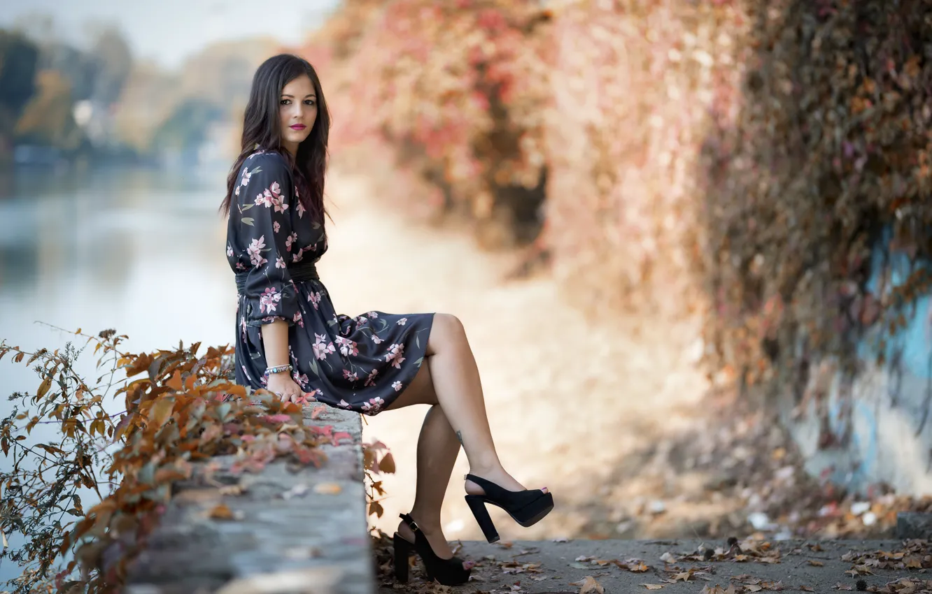 Photo wallpaper look, background, dress, sitting, cutie, Sara