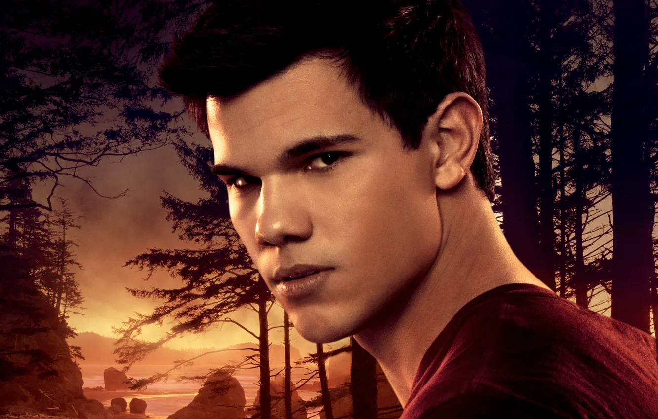 Photo wallpaper light, fantasy, forest, black, twilight, sky, trees, 2011