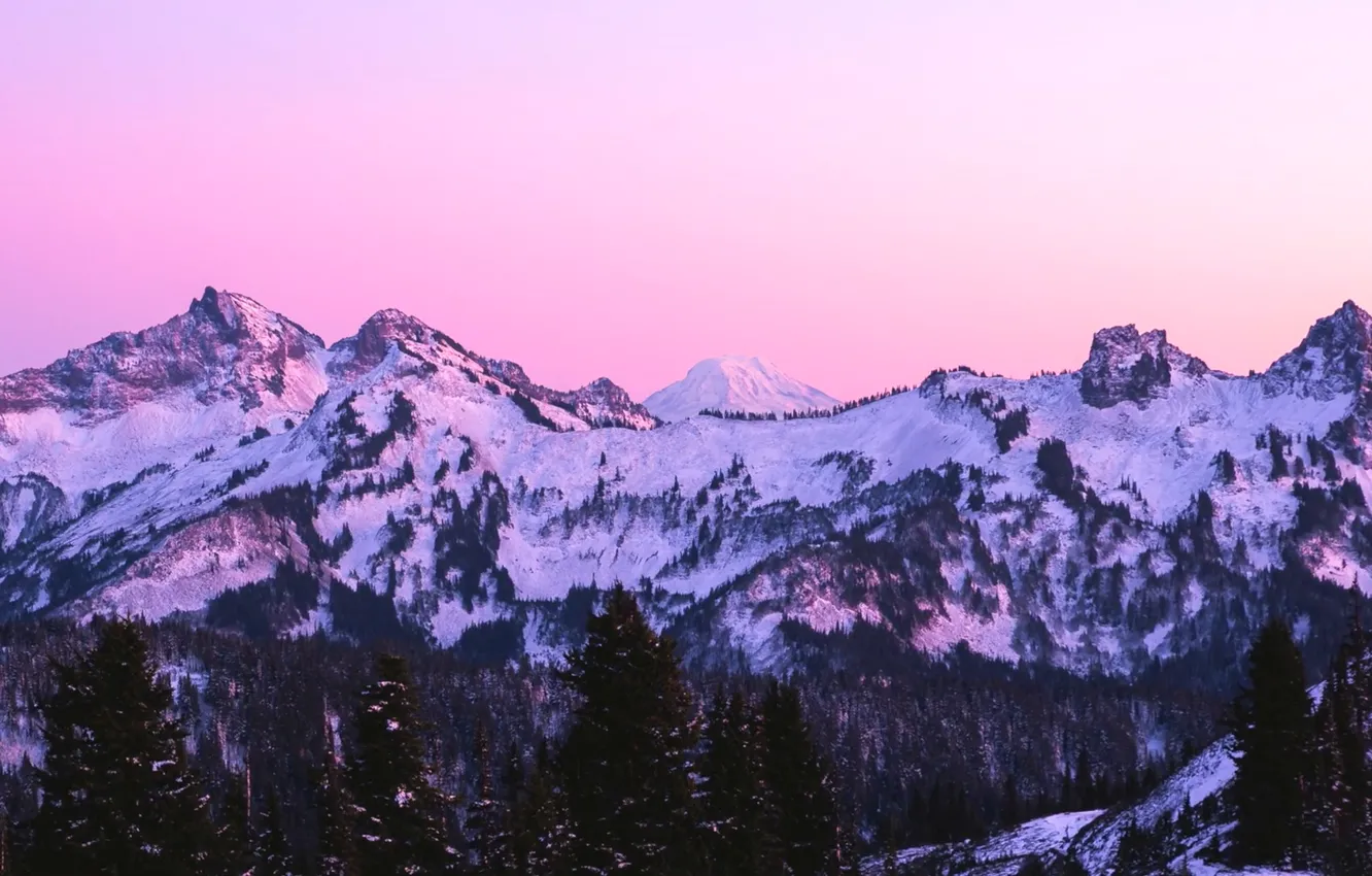 Photo wallpaper winter, forest, the sky, snow, mountains, nature, coniferous trees