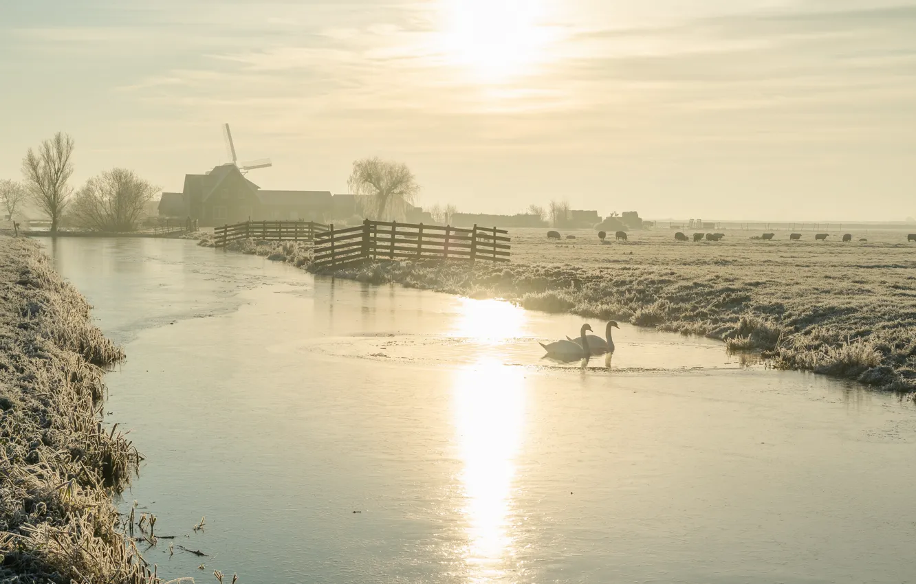 Photo wallpaper winter, frost, field, the sky, grass, the sun, clouds, light