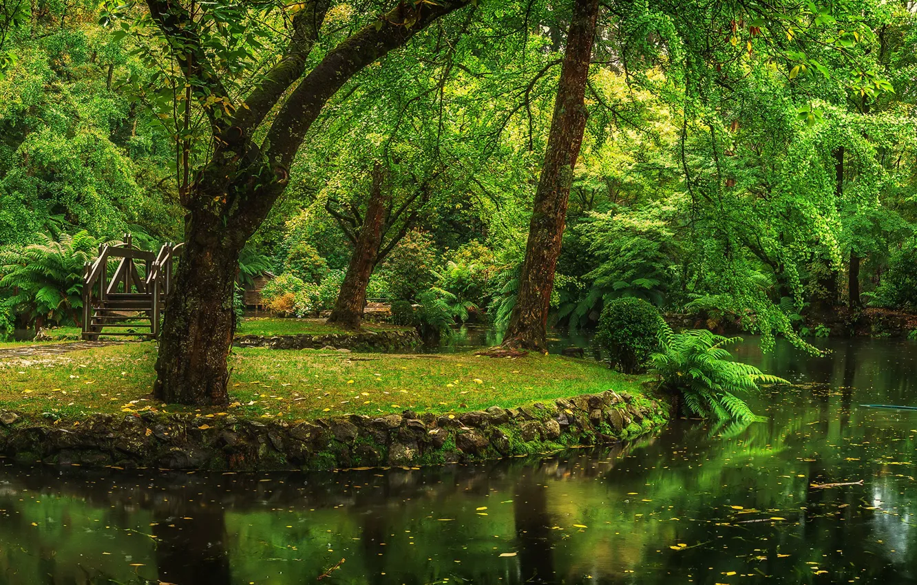 Photo wallpaper greens, trees, pond, Park, Australia, Alfred Nicholas Memorial Gardens