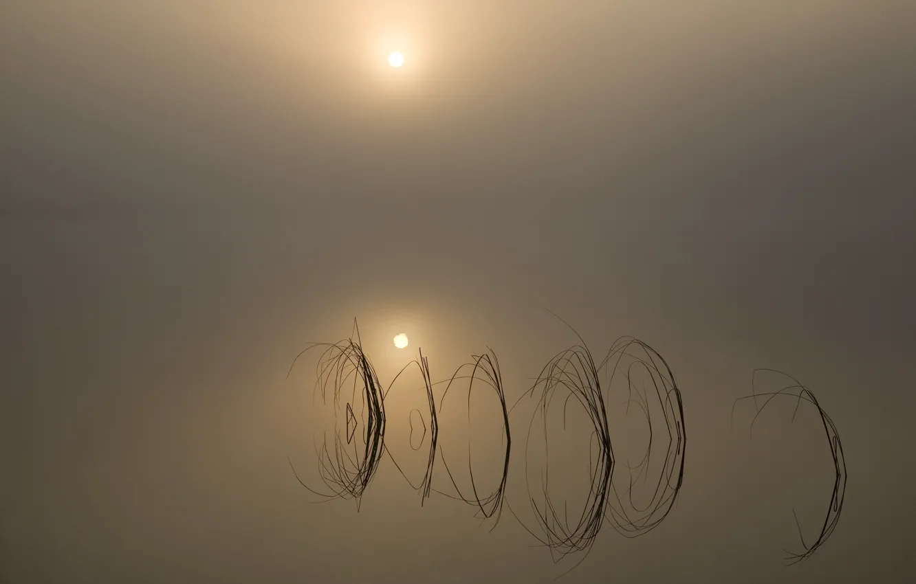 Photo wallpaper water, the sun, reflection, water, sun, reflection, Daniel Springgay