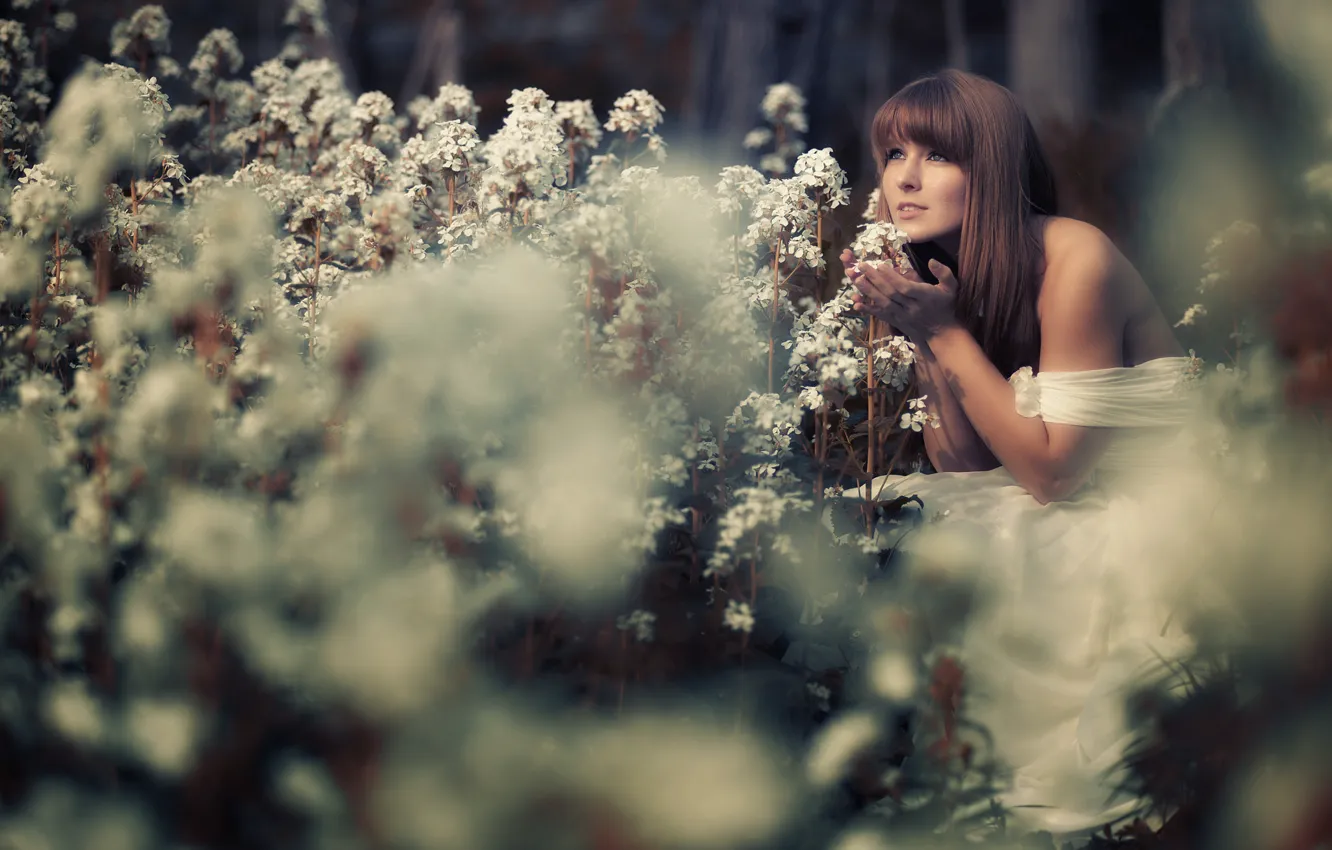 Photo wallpaper girl, flowers, mood