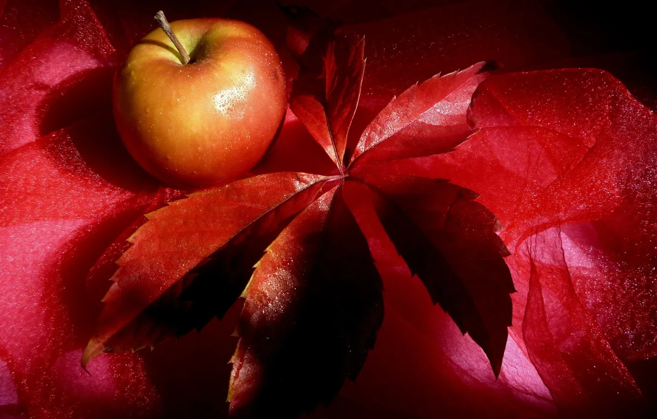Photo wallpaper leaves, red, apples, apple, red, fruit, still life