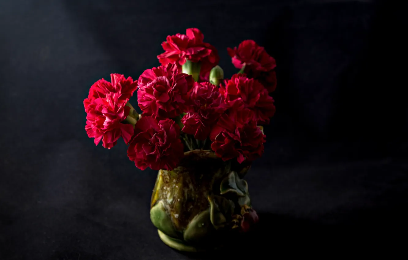 Photo wallpaper bouquet, the dark background, clove