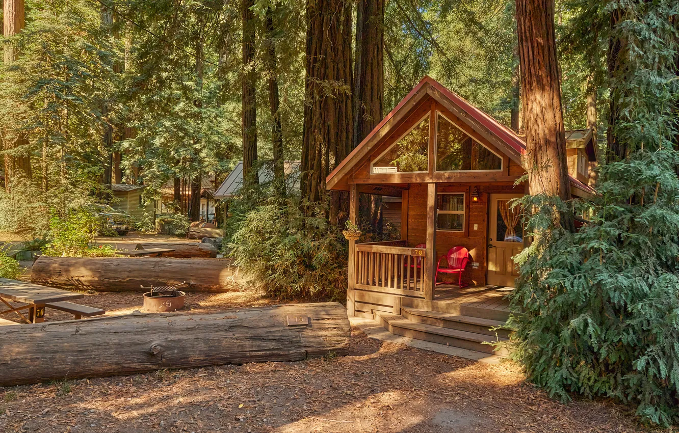 Photo wallpaper forest, nature, house, house, forest, nature