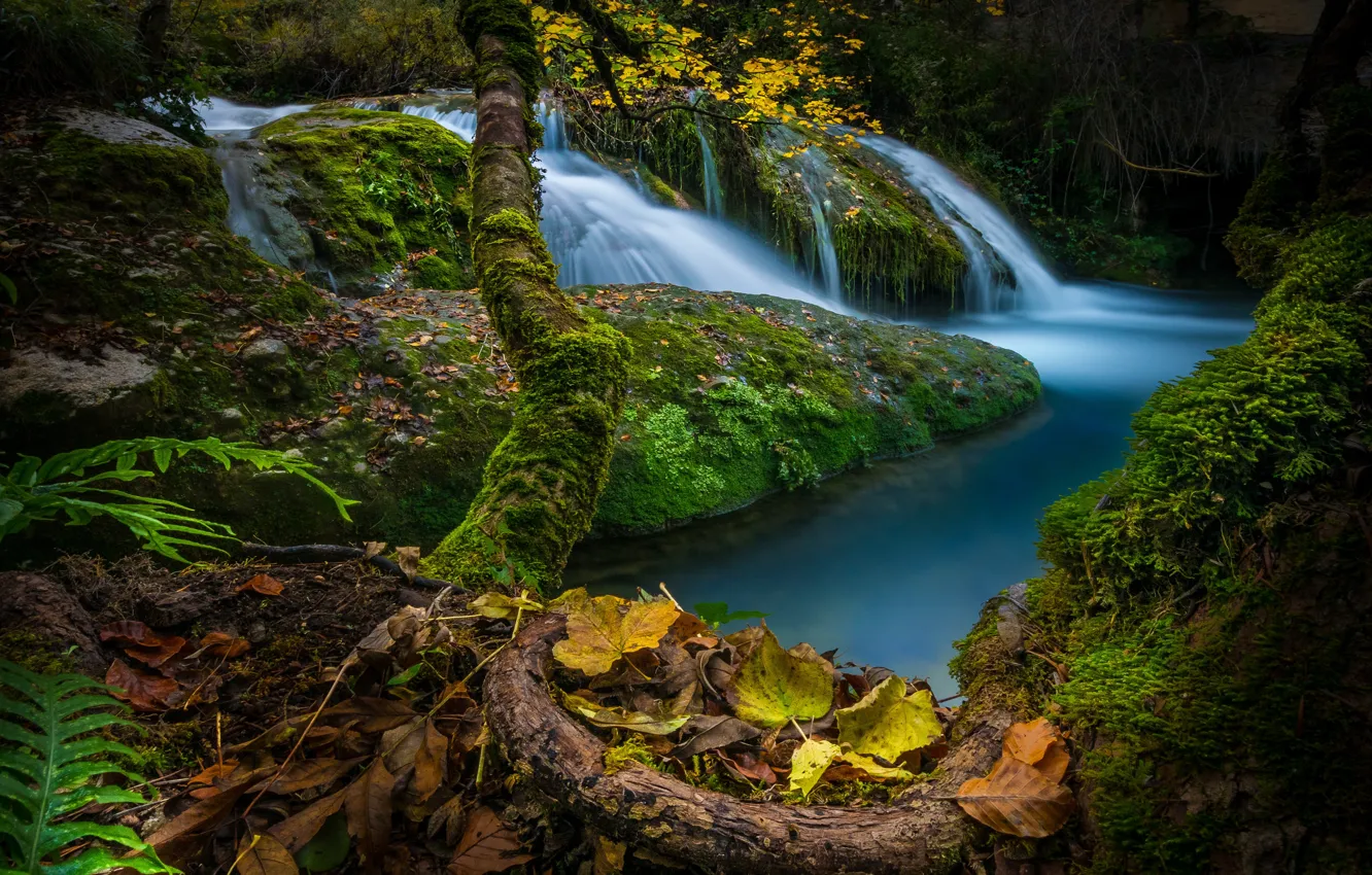 Photo wallpaper autumn, forest, leaves, trees, stream, stones, waterfall, moss