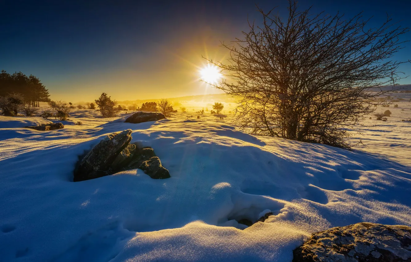 Photo wallpaper winter, field, the sky, the sun, rays, snow, trees, stones