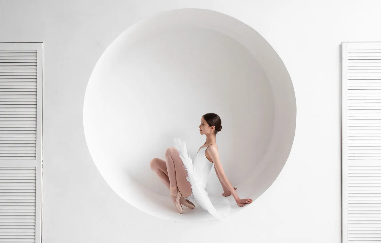 Photo wallpaper circles, girl, white background, ballerina, sitting, Arina, Moshenko Sergey