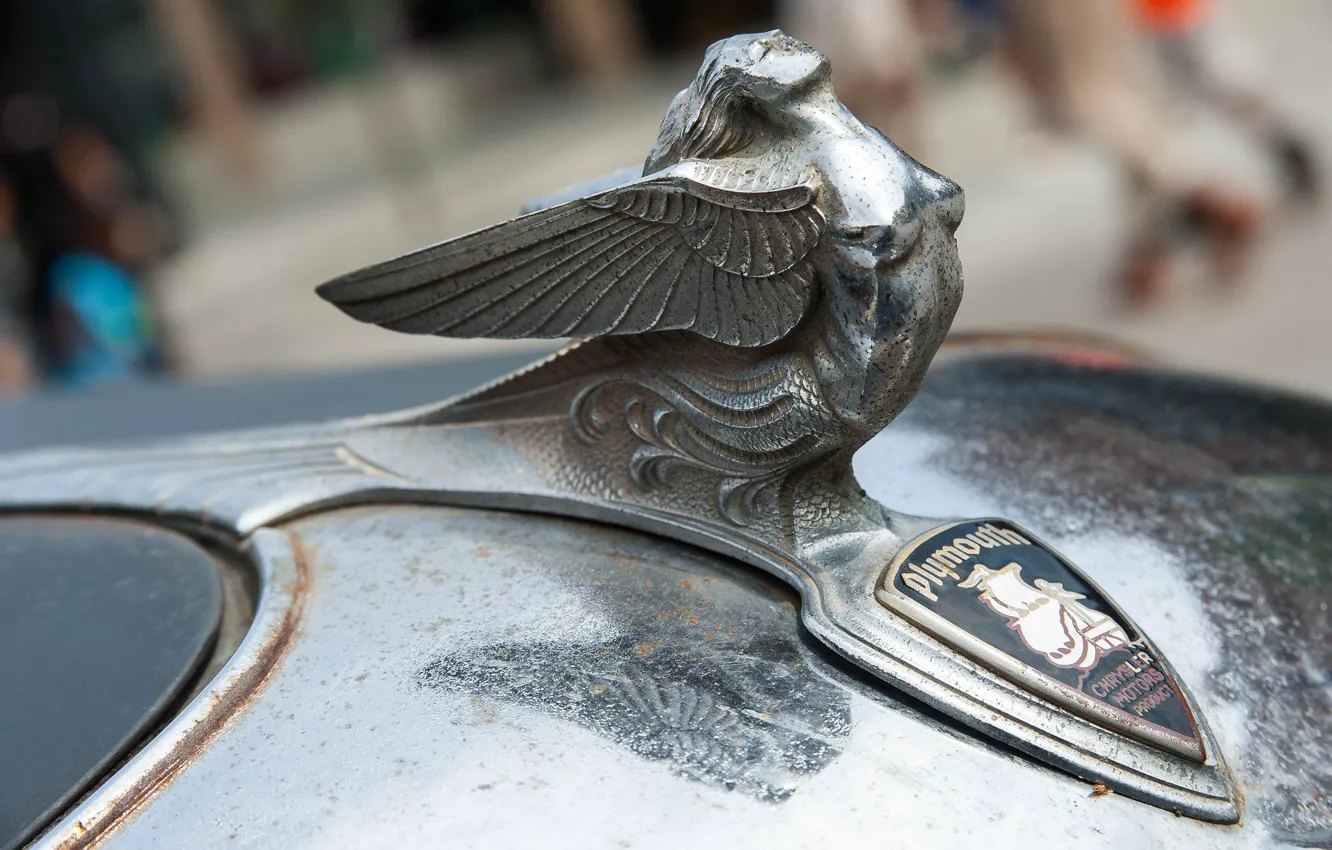 Photo wallpaper macro, sign, emblem, Plymouth