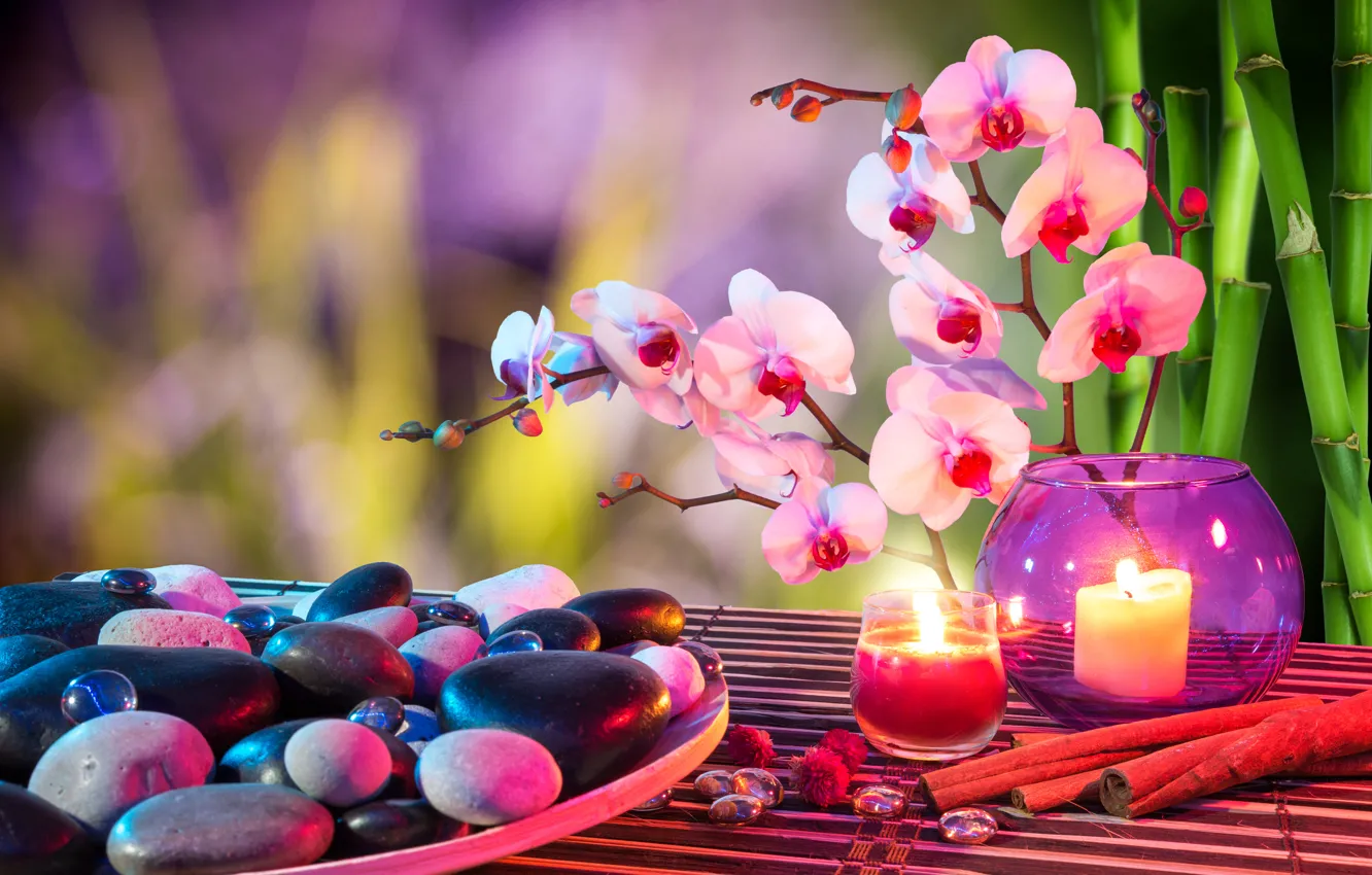 Photo wallpaper flower, stones, candle, bamboo, cinnamon, Orchid, Spa