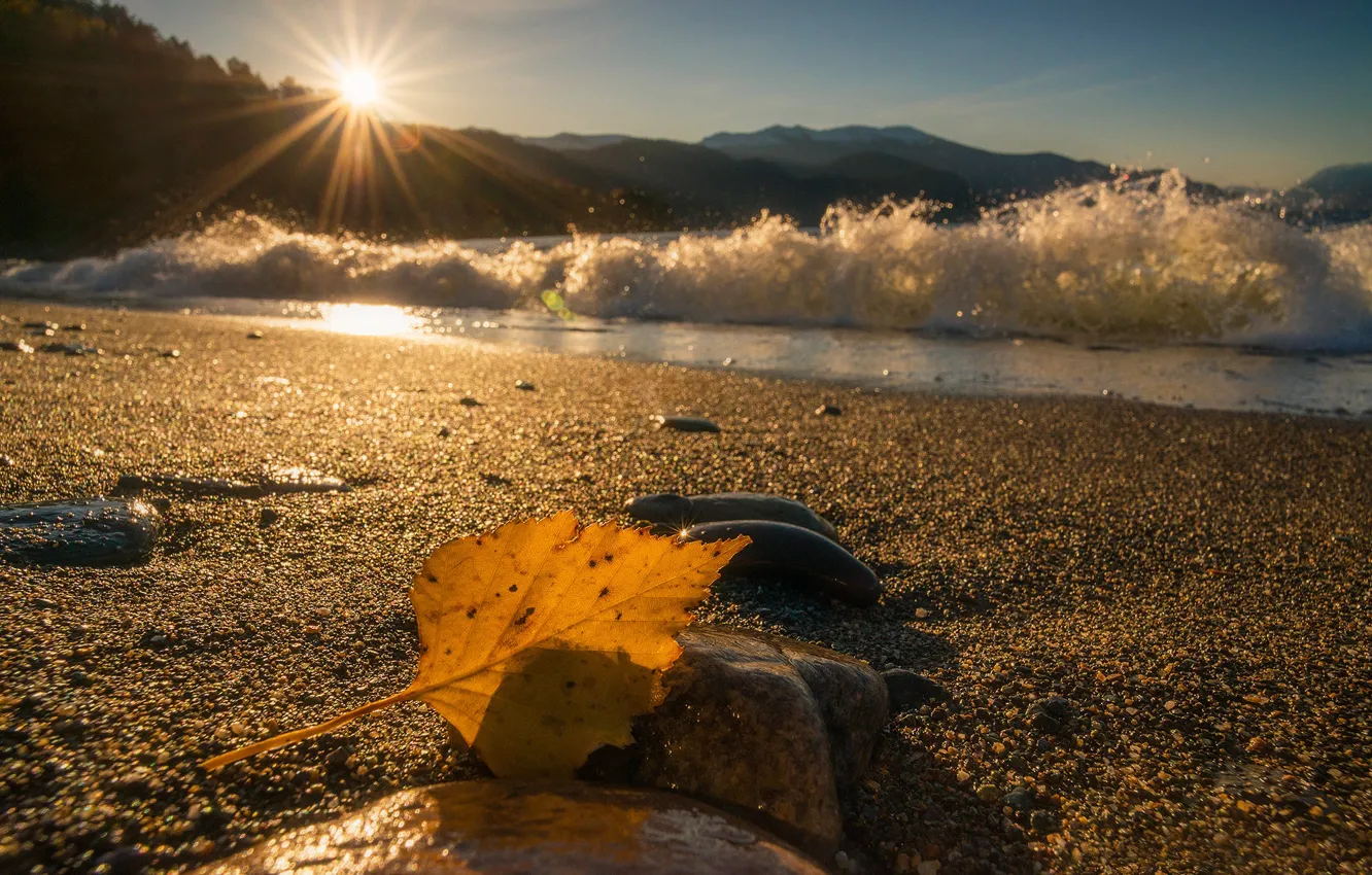 Photo wallpaper Teletskoye lake, Altai reserve, shore, Siberia, leaves