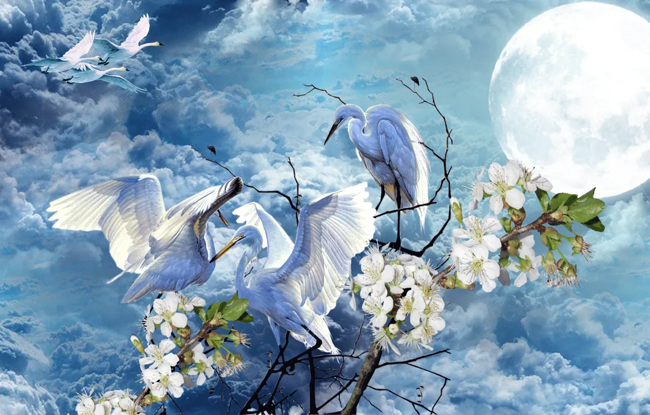 Photo wallpaper the sky, flowers, the moon, Spring, swans, storks