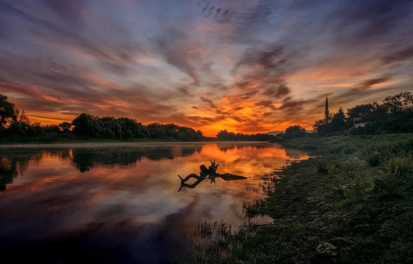 Photo wallpaper forest, sunset, snag, pond