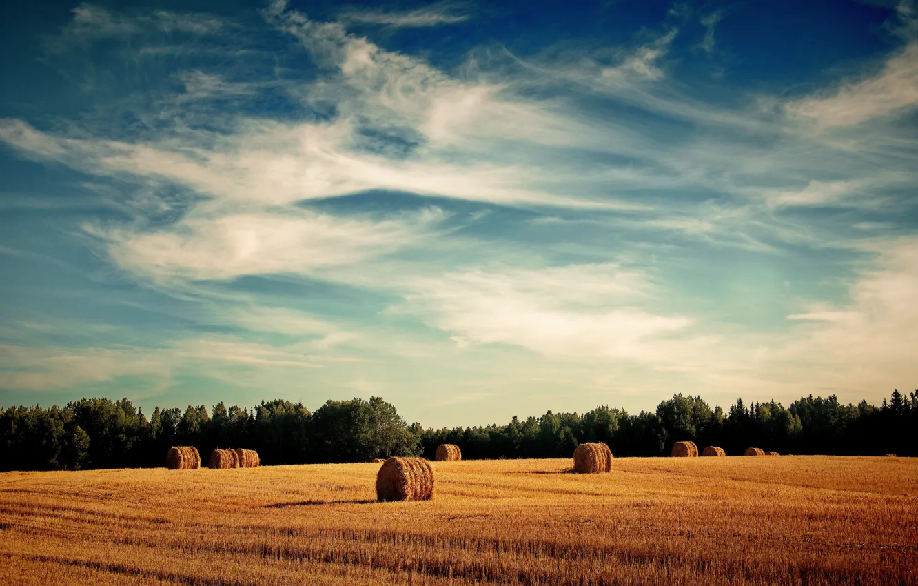 Photo wallpaper field, sunset, nature, haystacks