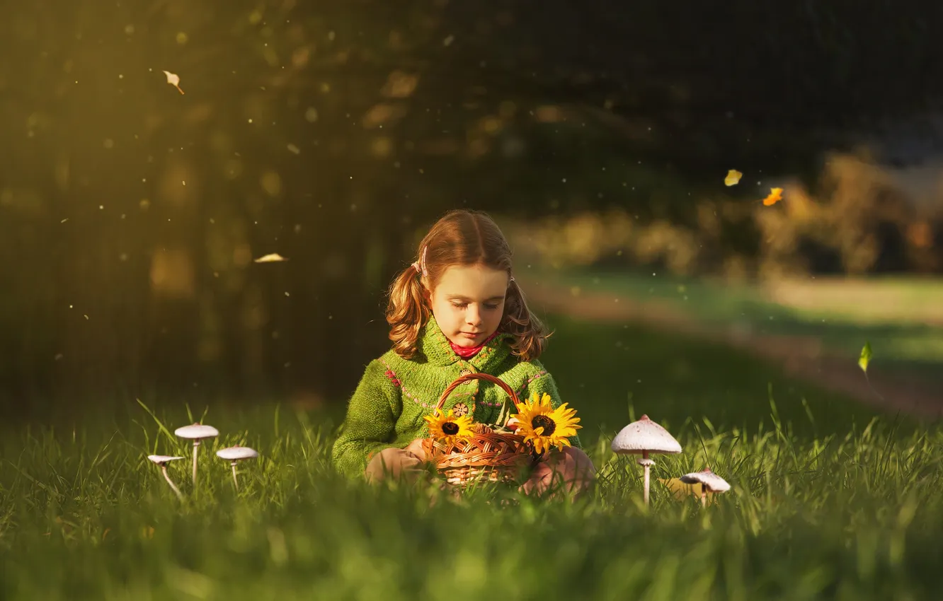 Photo wallpaper nature, girl, bokeh