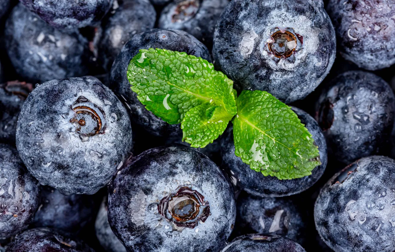 Photo wallpaper blueberries, leafs, drops, blueberry, berries