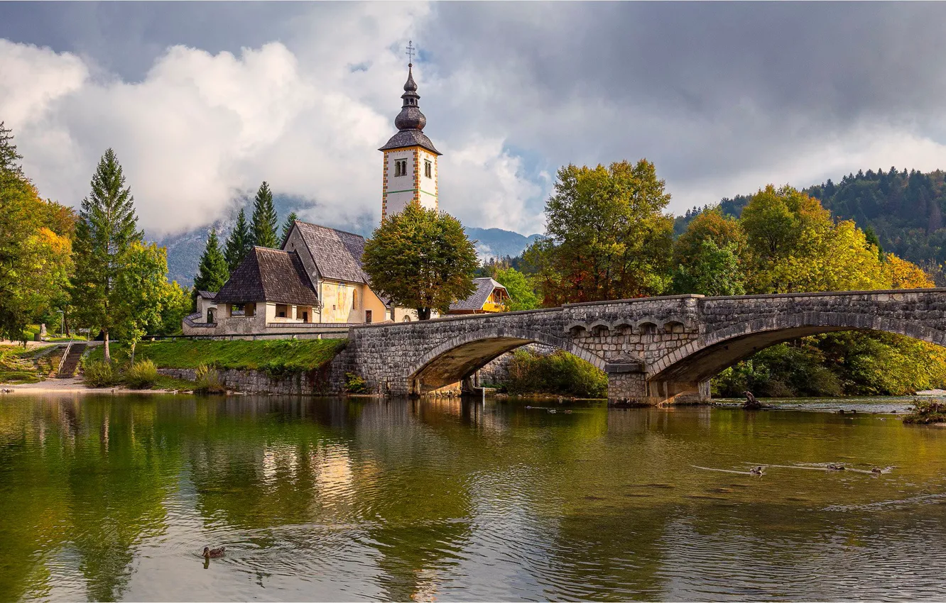 Photo wallpaper trees, bridge, lake, duck, Church, Slovenia, Slovenia, Lake Bohinj