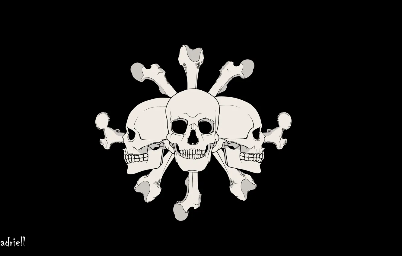 Photo wallpaper bones, skull, One Piece, black background