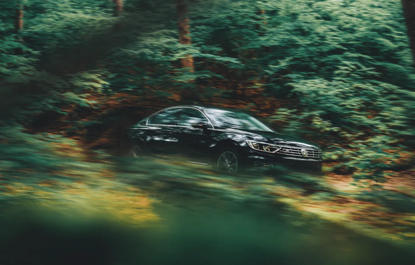 Photo wallpaper Volkswagen, Wood, Speed, Sedan, Trees, Passat, R Line