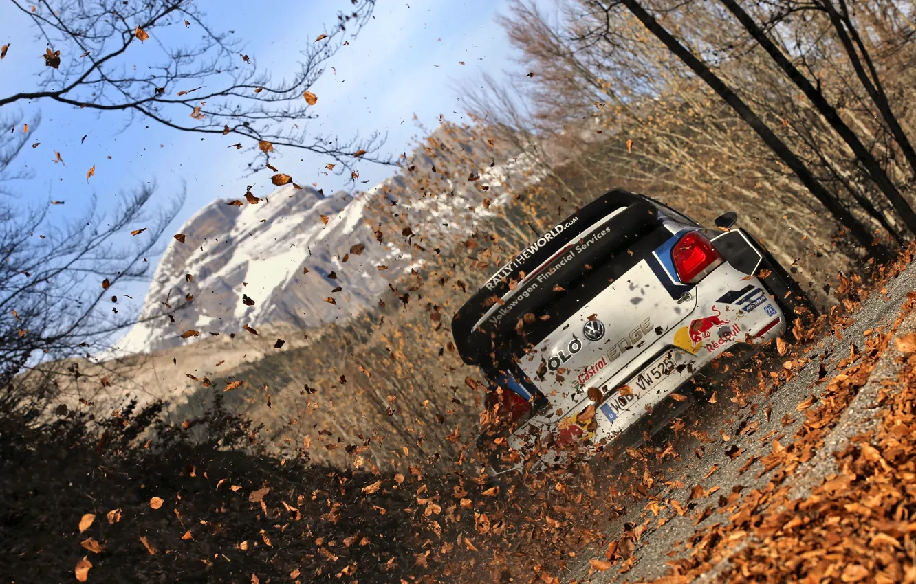 Photo wallpaper Leaves, Volkswagen, WRC, Rally, Rally, Polo, Back