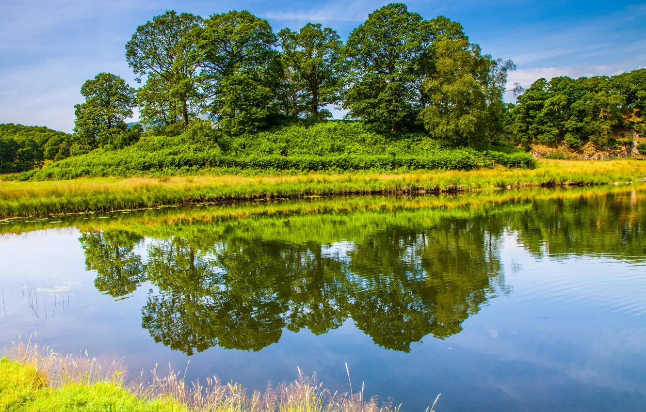 Photo wallpaper grass, trees, lake, pond, reflection, England