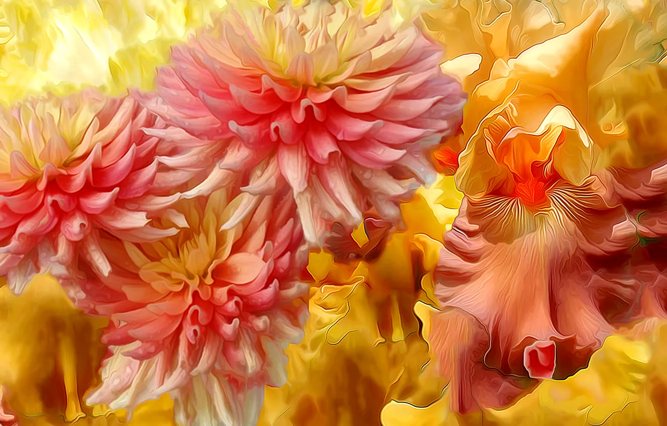 Photo wallpaper line, flowers, petals, garden, flowerbed