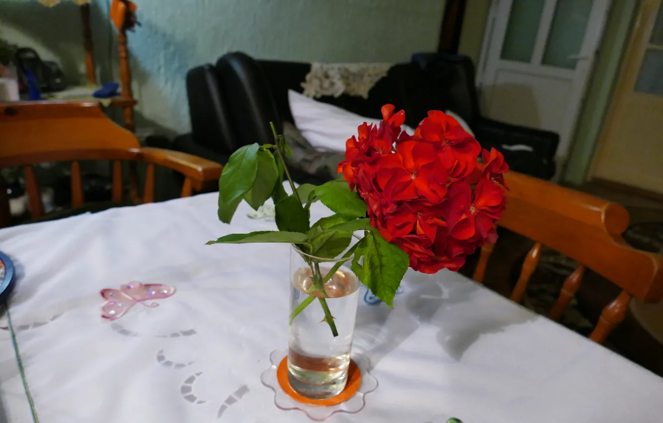 Photo wallpaper flowers, red, nature, table, vase