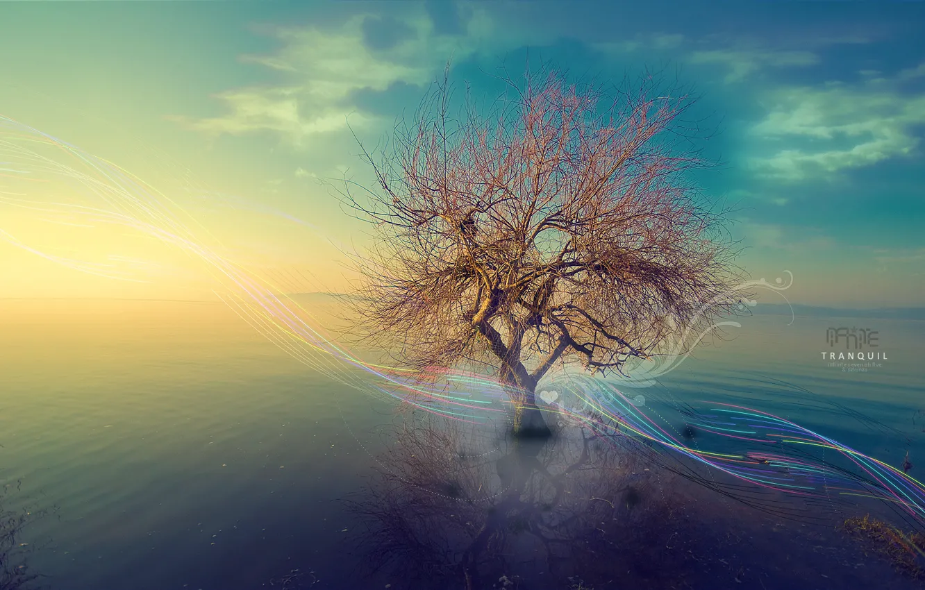 Photo wallpaper water, trees, line, the inscription, pattern