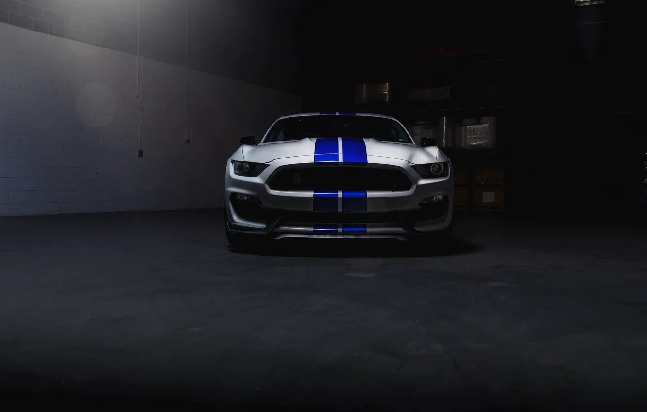 Photo wallpaper Mustang, Ford, Shelby, Blue, White
