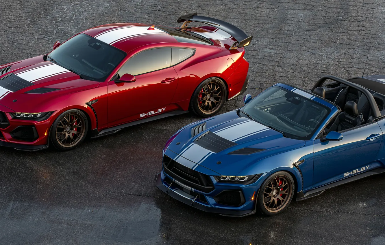 Photo wallpaper Mustang, Shelby, Shelby Super Snake, 2024, Shelby Super Snake Convertible