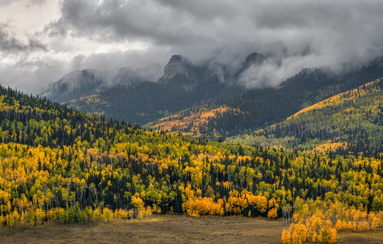 Photo wallpaper mountains, fog, tops, haze, view, field, autumn, forest