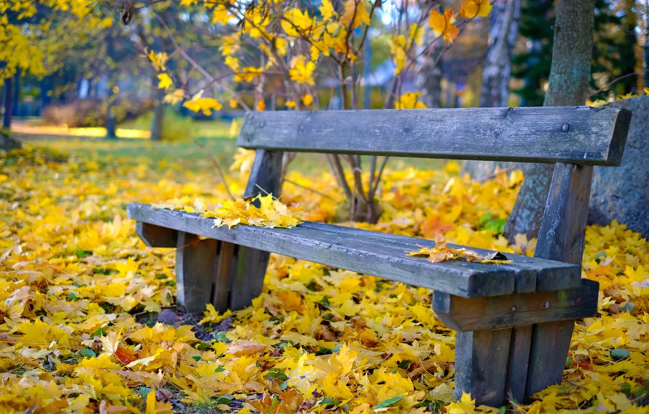 Photo wallpaper autumn, Park, foliage, bench, bokeh, soon