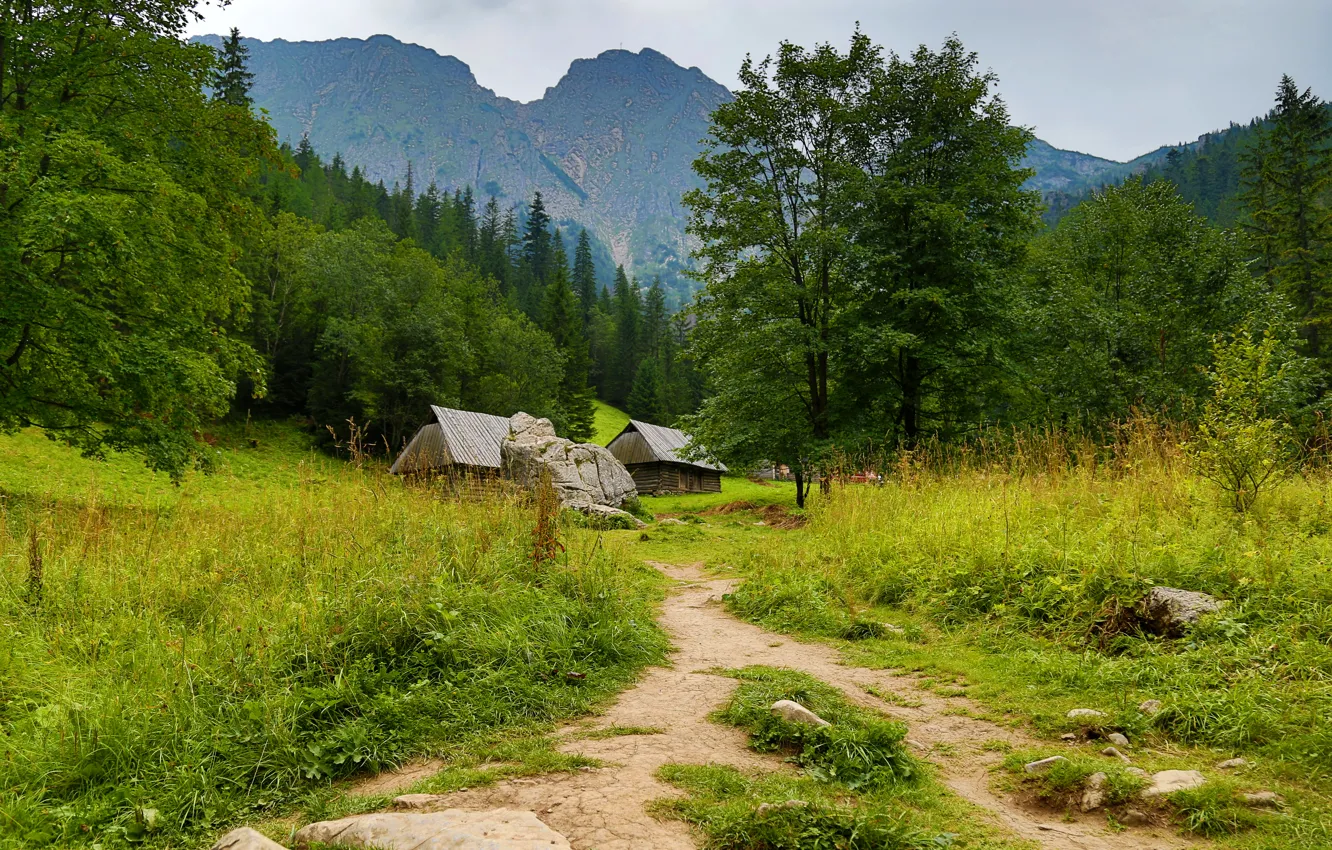 Photo wallpaper forest, grass, trees, mountains, stones, Poland, houses, path