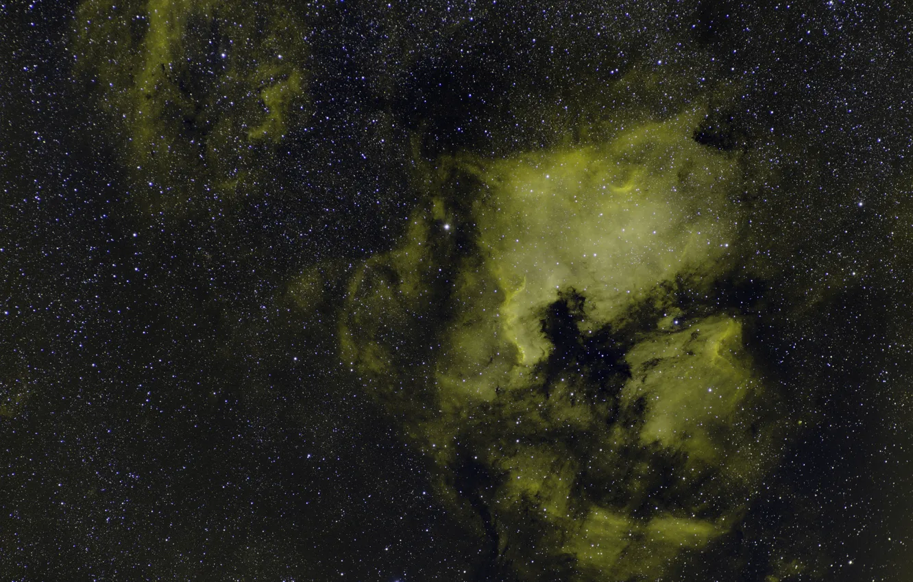Photo wallpaper space, stars, Swan, in the constellation, NGC 7000, The North America Nebula